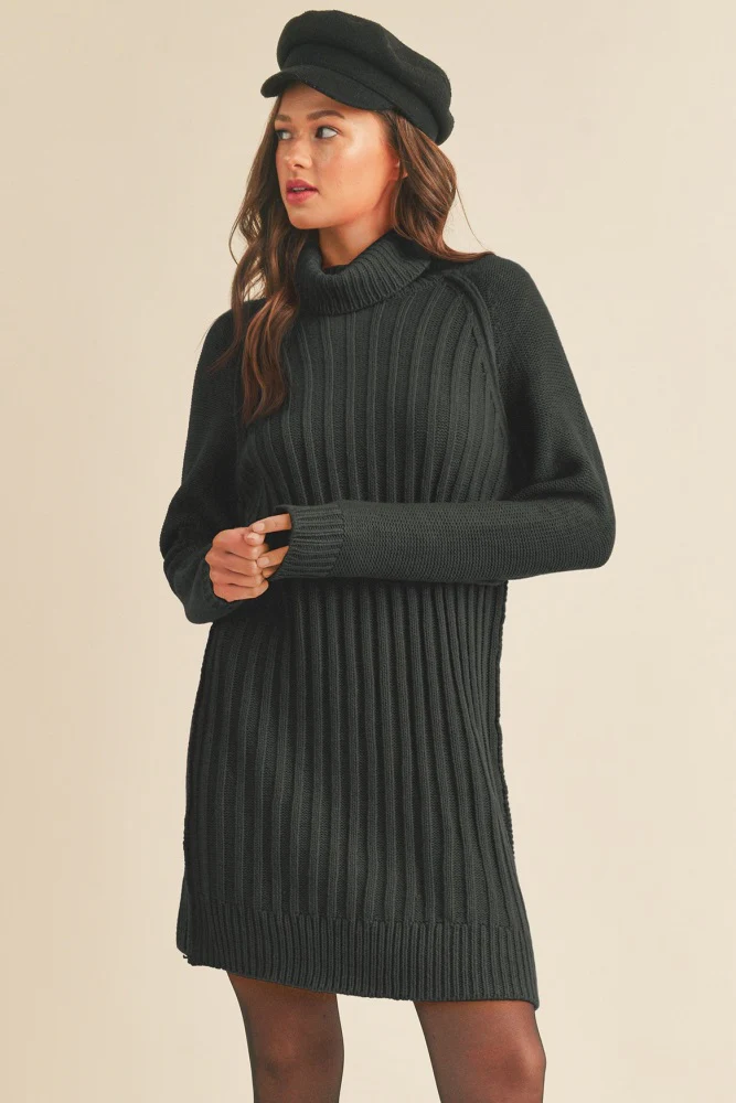 Black Turtleneck Maternity Sweater Dress - Image 11