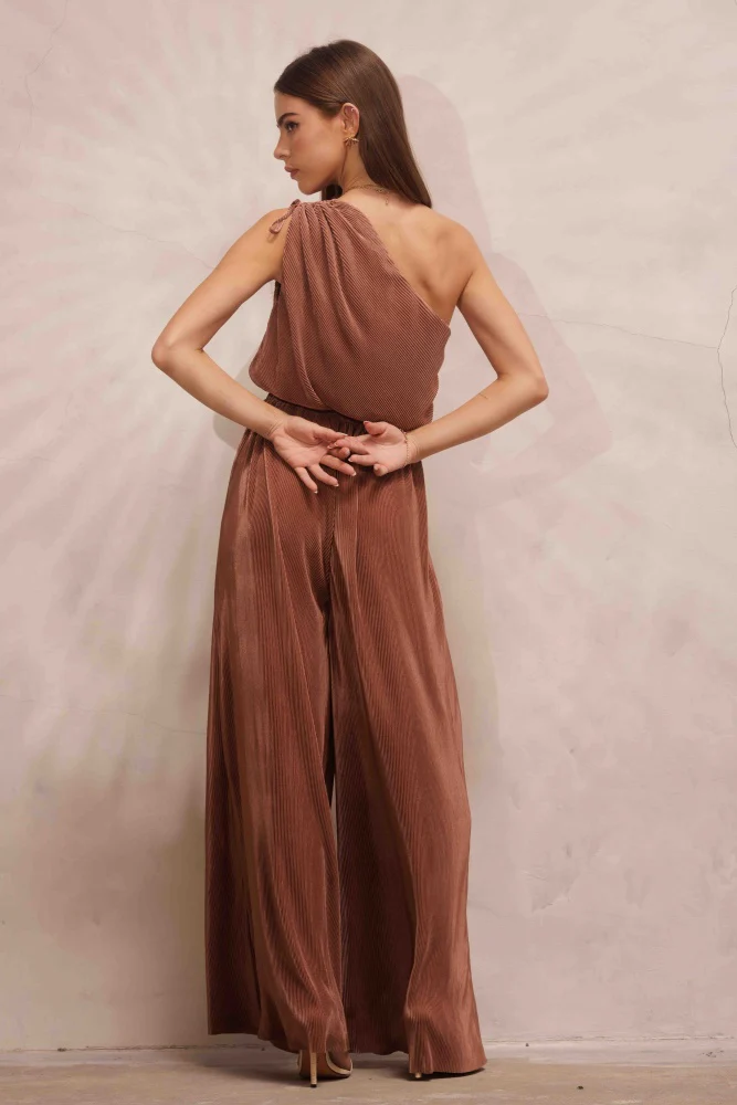 Dark Bronze Asymmetric Pleated Jumpsuit - Image 5